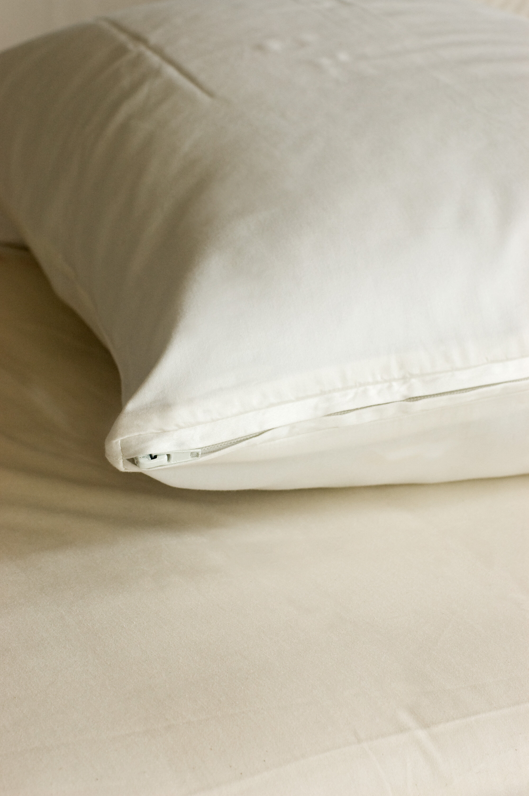 organic bed pillows