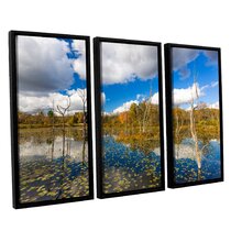 24 by 36-Inch ArtWall 4-Piece Cody Yorks Beaver Marsh Floater Framed Canvas Staggered Set Artwork 