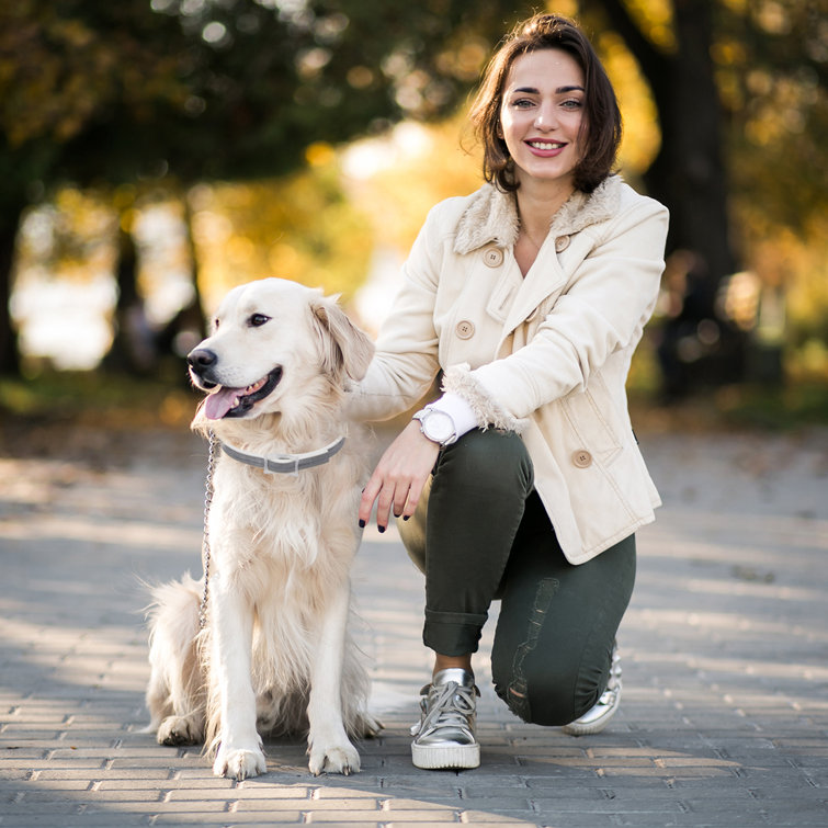 excelvan flea collar