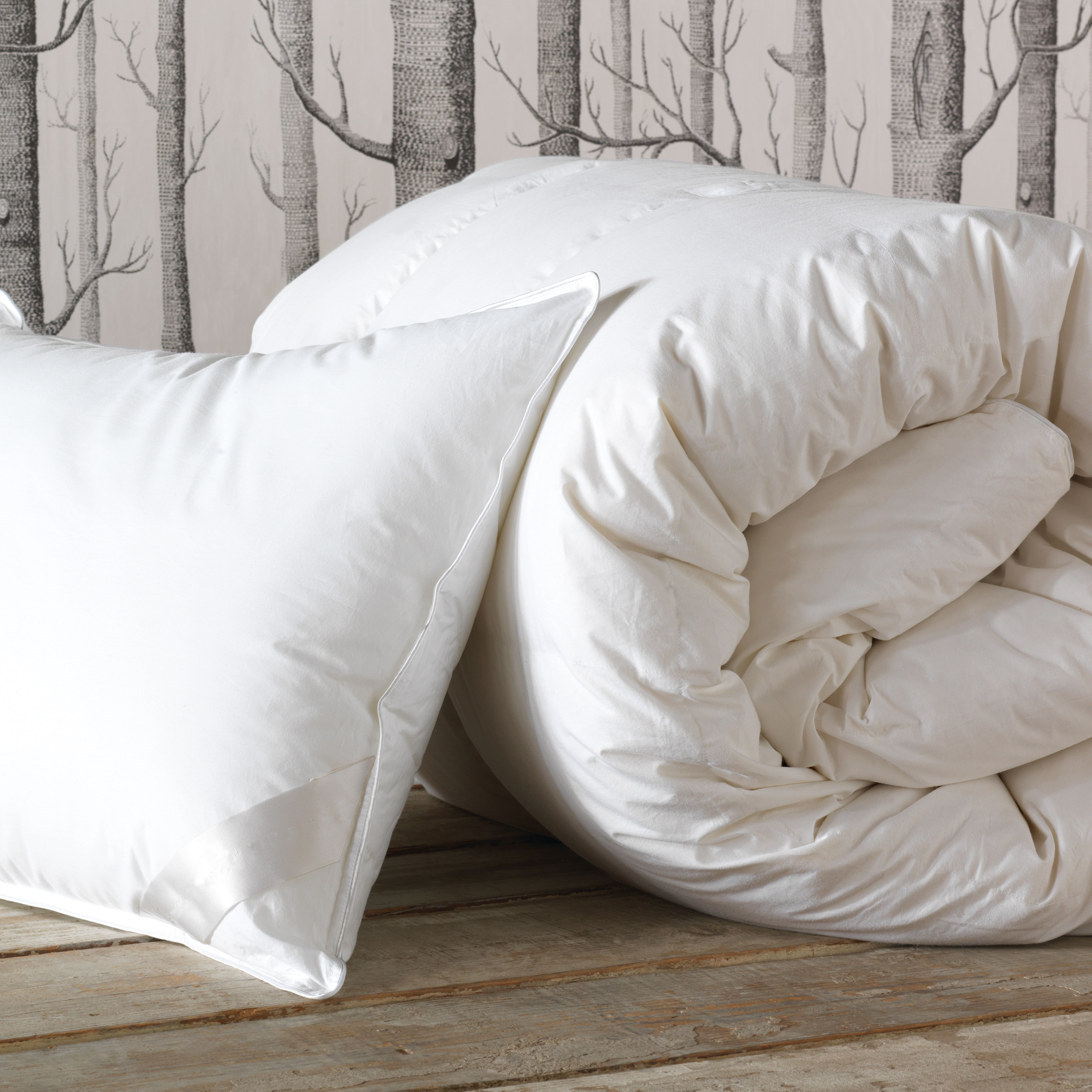 Eastern Accents Celesta Luxe Winter Down Comforter Wayfair Ca