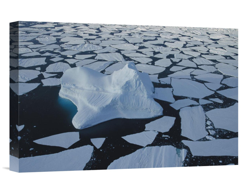 East Urban Home East Antarctica Southern Ocean Iceberg Drifting Among Ice Floes Photographic Print On Wrapped Canvas Wayfair