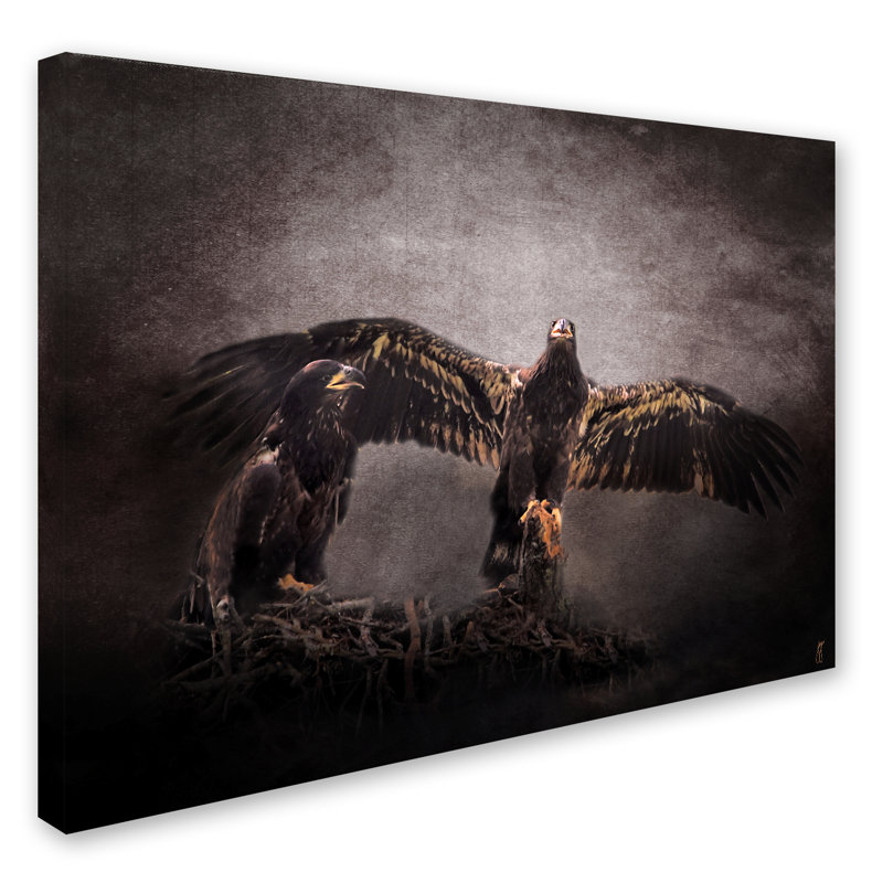 Trademark Art The Protector Juvenile Bald Eagles Graphic Art Print On Wrapped Canvas Wayfair