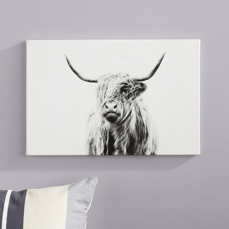 Mercury Row Portrait Of A Highland Cow Photograph Print
