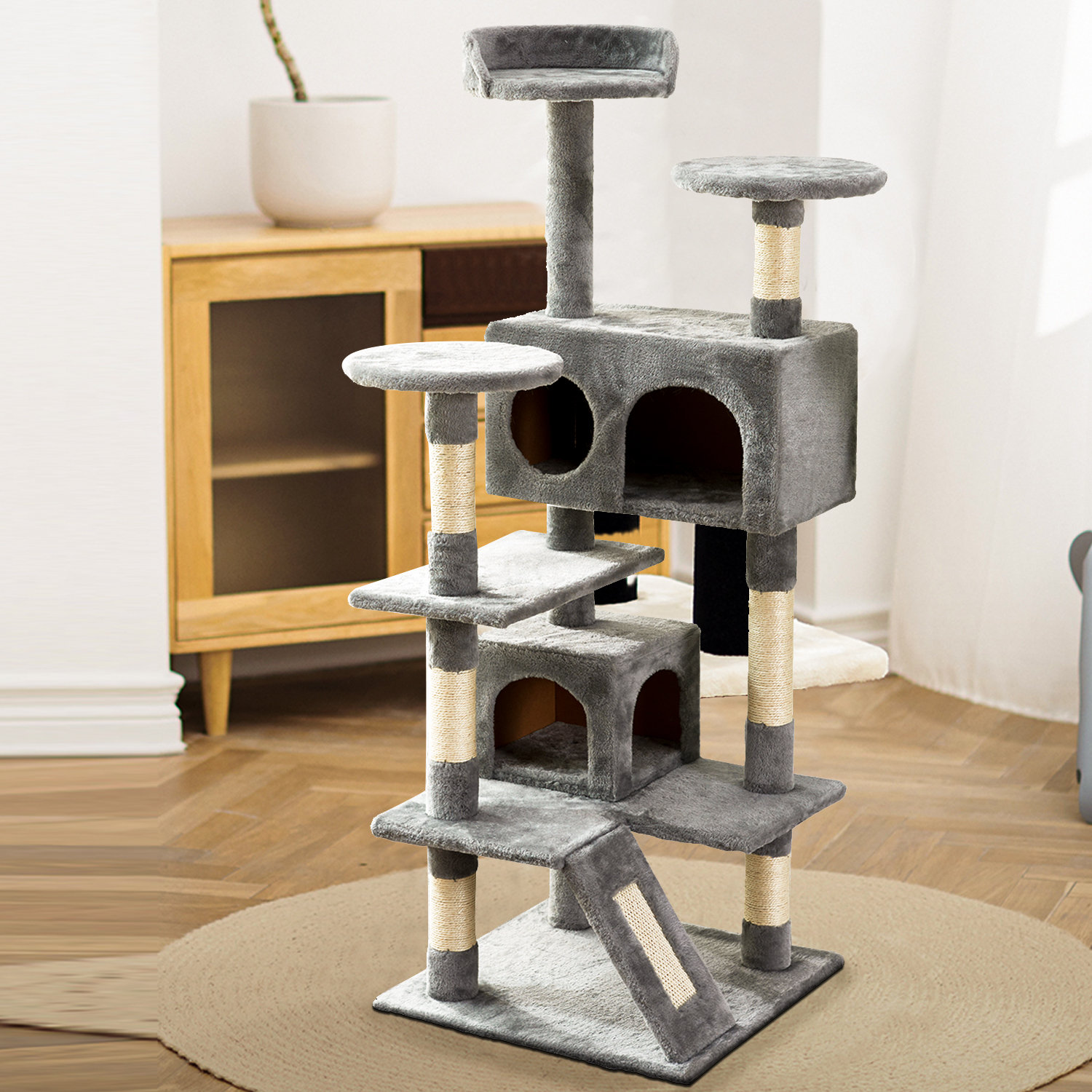 cat tree apartment