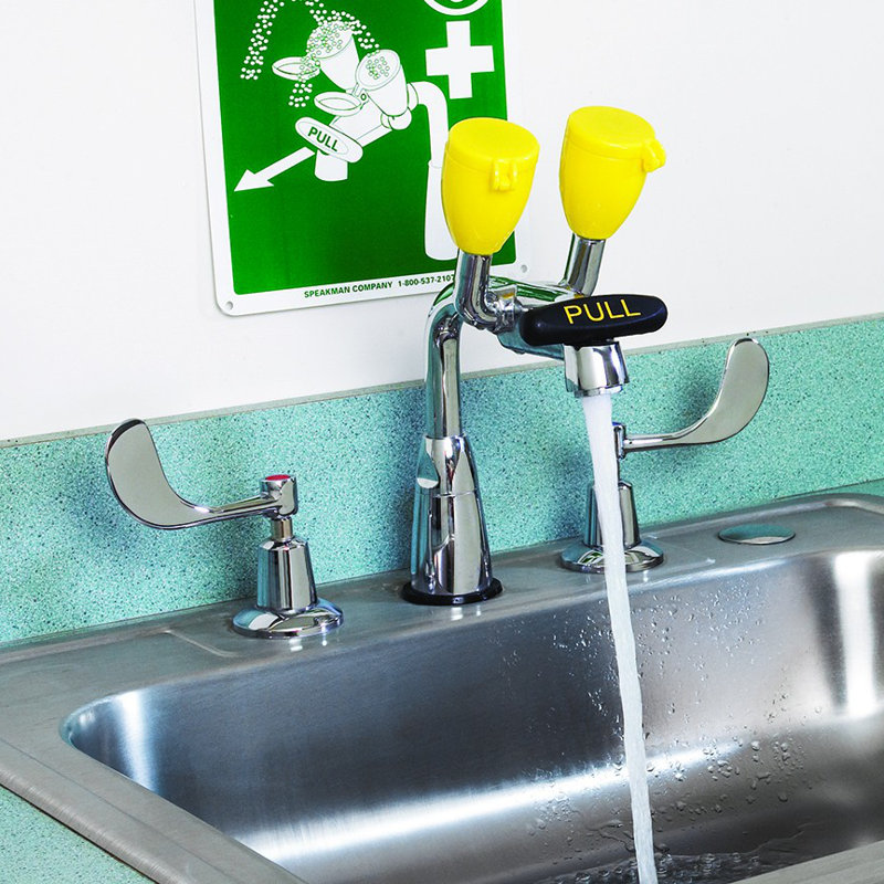 Speakman Eyesaver Widespread Laboratory Faucet With Emergency Eyewash And Foot Petal Activation Wayfair