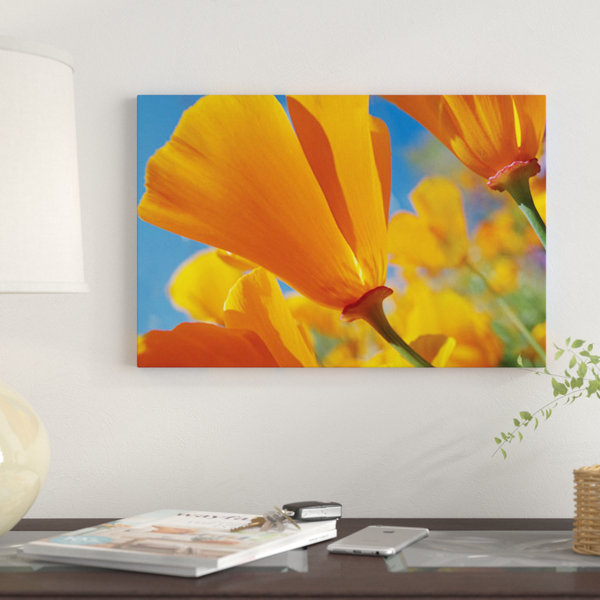 East Urban Home California Poppy Flowers Antelope Valley