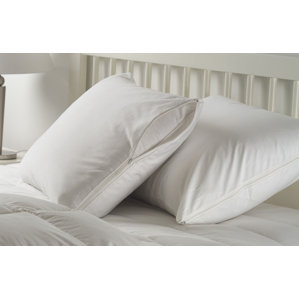 Pillow Protector (Set of 2) by Alwyn Home