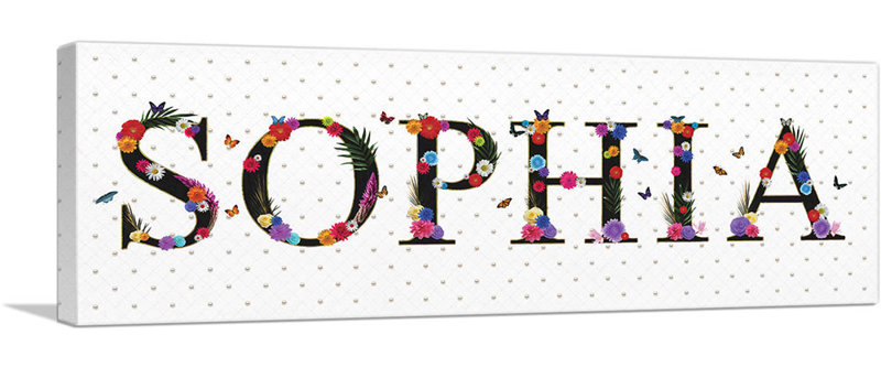 Artcanvas Sophia Girls Name Wrapped Canvas Panoramic Textual Art Print Wayfair Artcanvas Sophia Girls Name Wrapped Canvas Panoramic Textual Art Print Wayfair