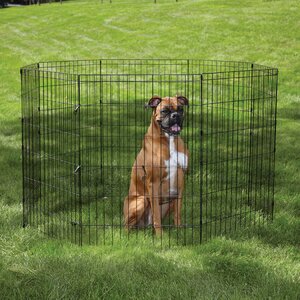 Easy Exercise Dog Pen