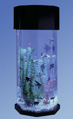 octagon aquarium
