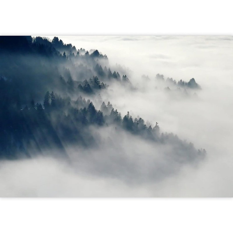 Misty Mountain Forest Range Wall Mural Size: 66" L x 96" W
