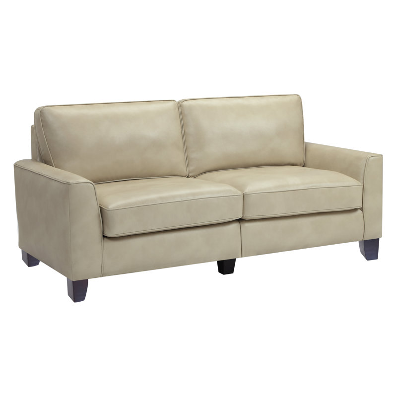 Serta At Home Rta Astoria 73 Sofa Reviews Wayfair