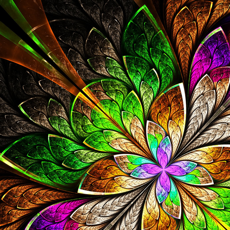 Ellmore Beautiful Fractal Flower On Canvas by Velirina Graphic Art Size: 12" H x 12" W