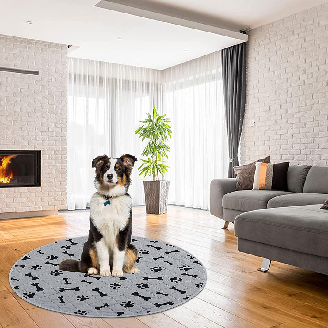 Tucker Murphy Pet™ 2_Dog Crate Pee Pads Wahable Dog Rugs NonSlip