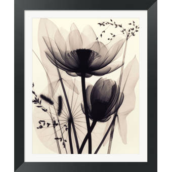 Evive Designs Small Orchid Opulence Ii P By Jennifer Goldberger Framed Graphic Art Wayfair