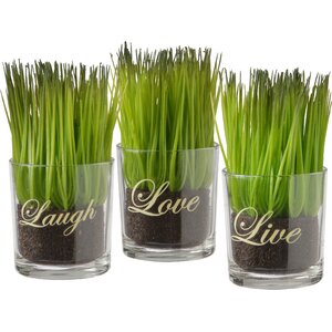 Live Laugh Love Print Grass in Cylinder Jar (Set of 3)