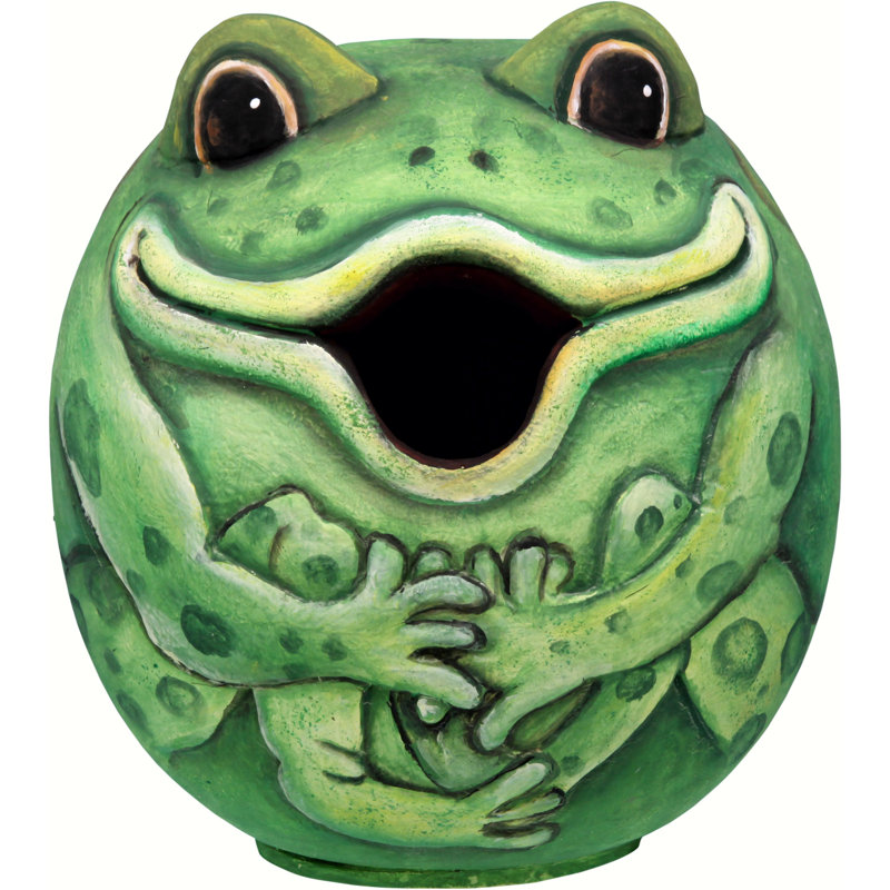 Songbird Essentials Frog Gord O 6 In X 6 In X 6 In Birdhouse Wayfair