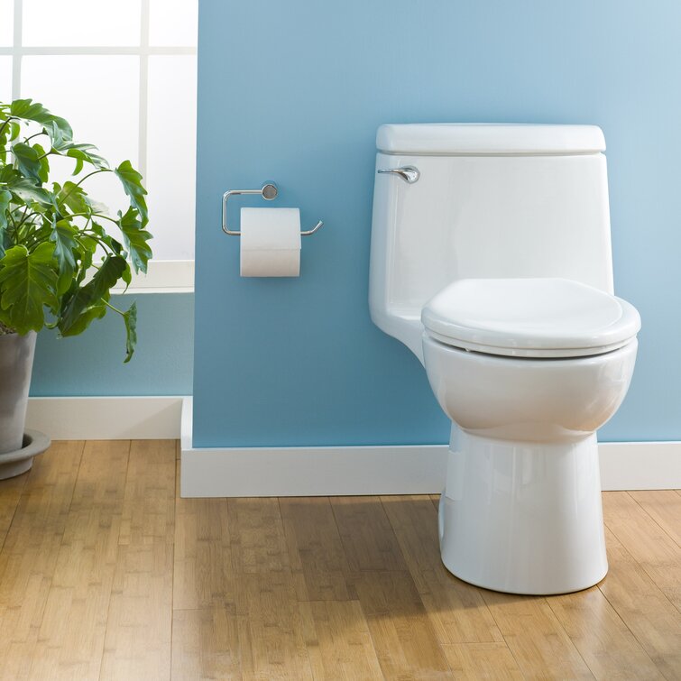 eventyr amme Inca Empire American Standard Champion 1.6 GPF Elongated One-Piece Toilet (Seat Not  Included) & Reviews | Wayfair