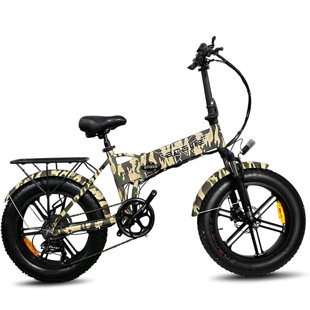 electric pedal bike