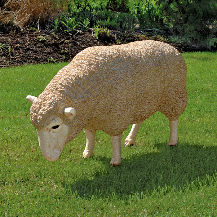 Weird Sheep Breeds The Merino Thatsfarming Com