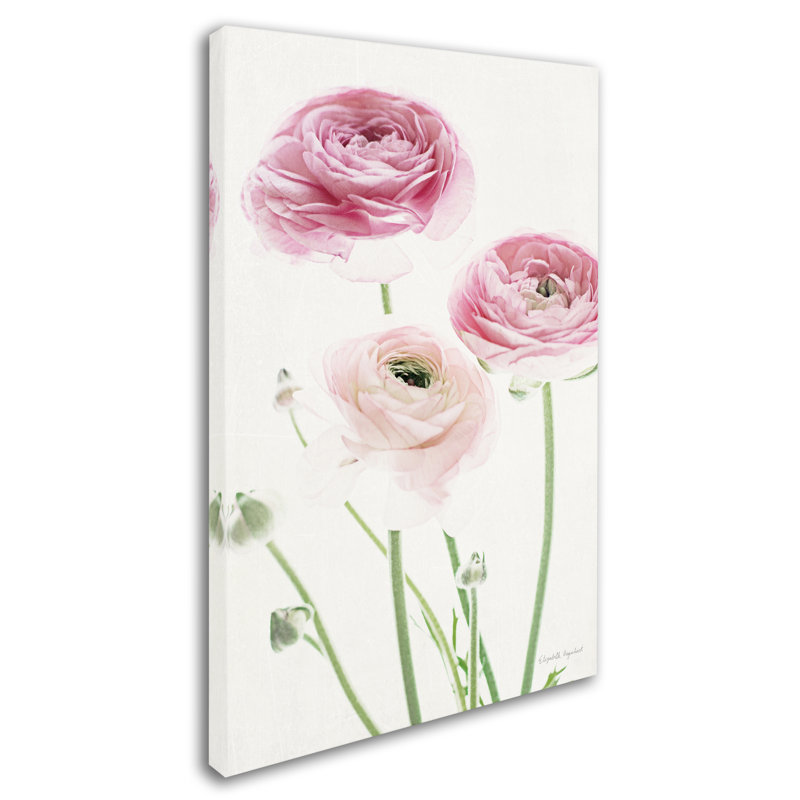 Trademark Art Light And Bright Floral Vi Graphic Art Print On