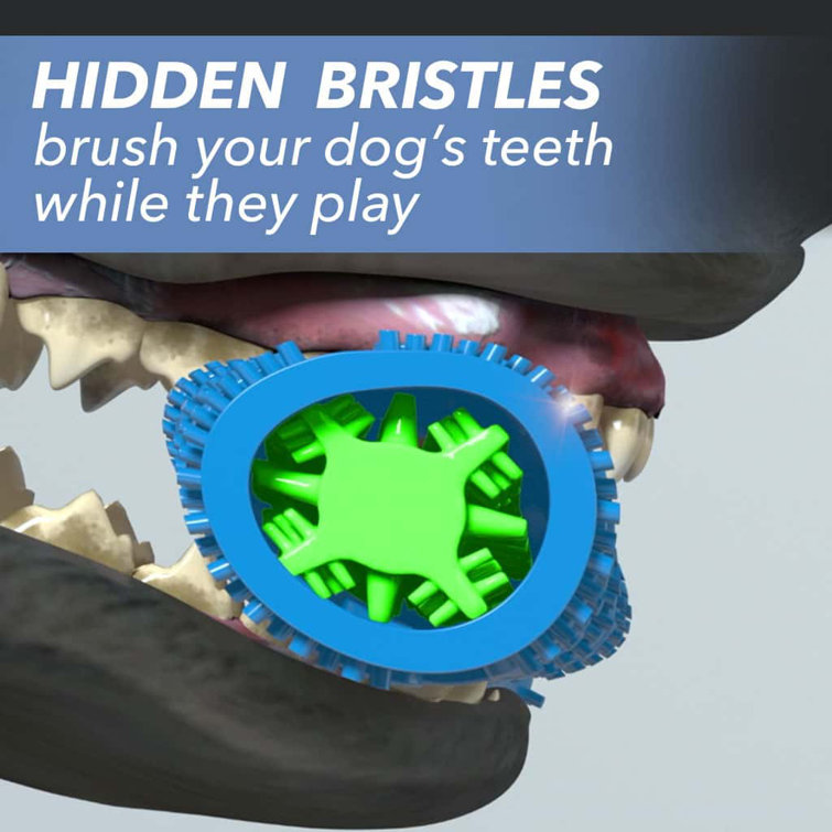 getchewbrush