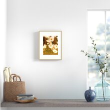 Wayfair | Picture Frames You'll Love in 2022