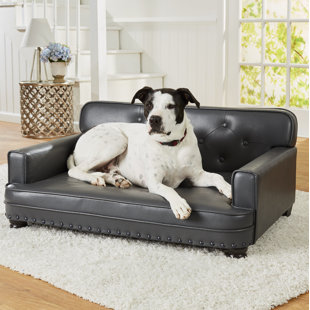 miniature couch for a pooch