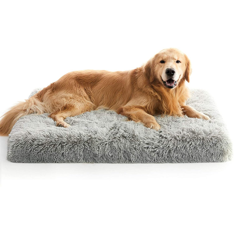 medium dog mattress