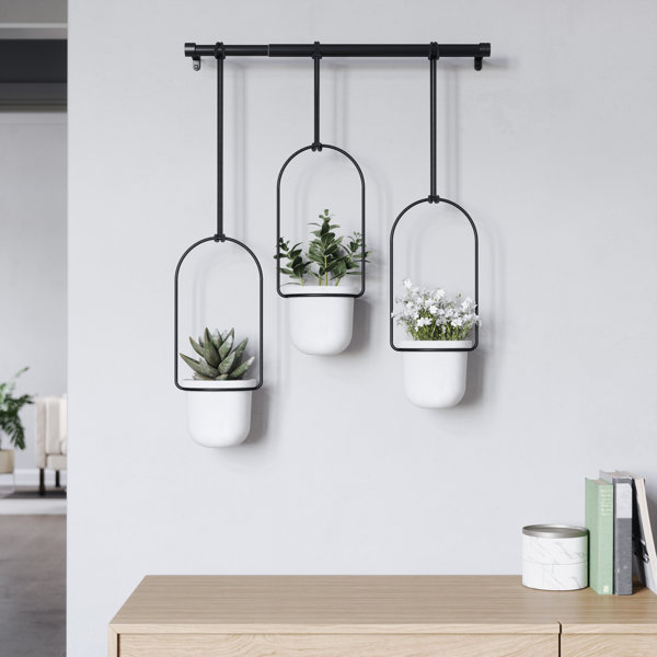 Indoor Hanging Herb Garden Wayfair