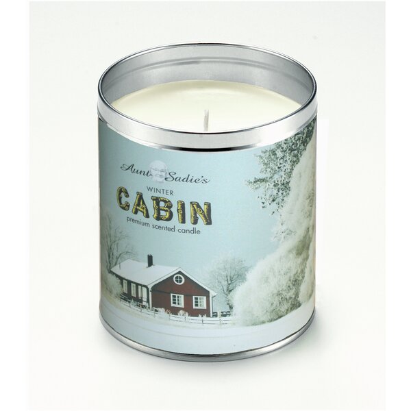 Aunt Winter Cabin Fireplace Scented Jar Candle Wayfair