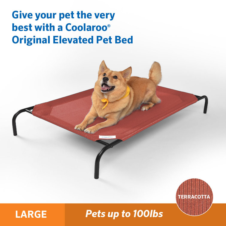 pet cot large