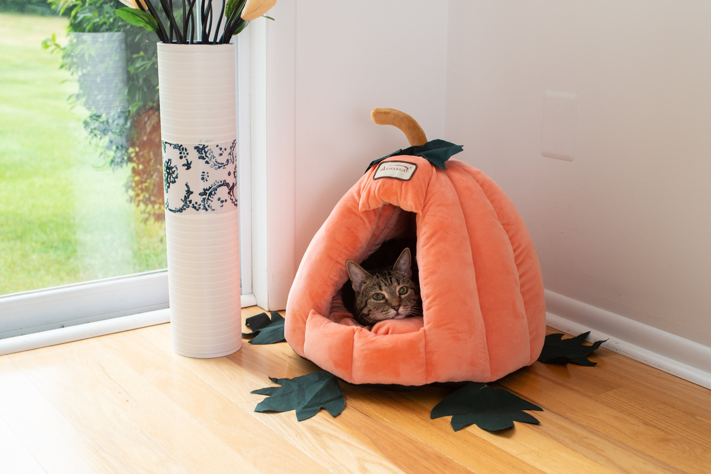Armarkat Specialty Cat Bed Wayfair