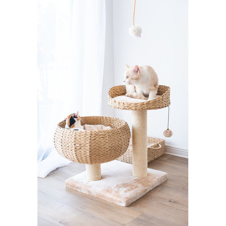 cat tree bed