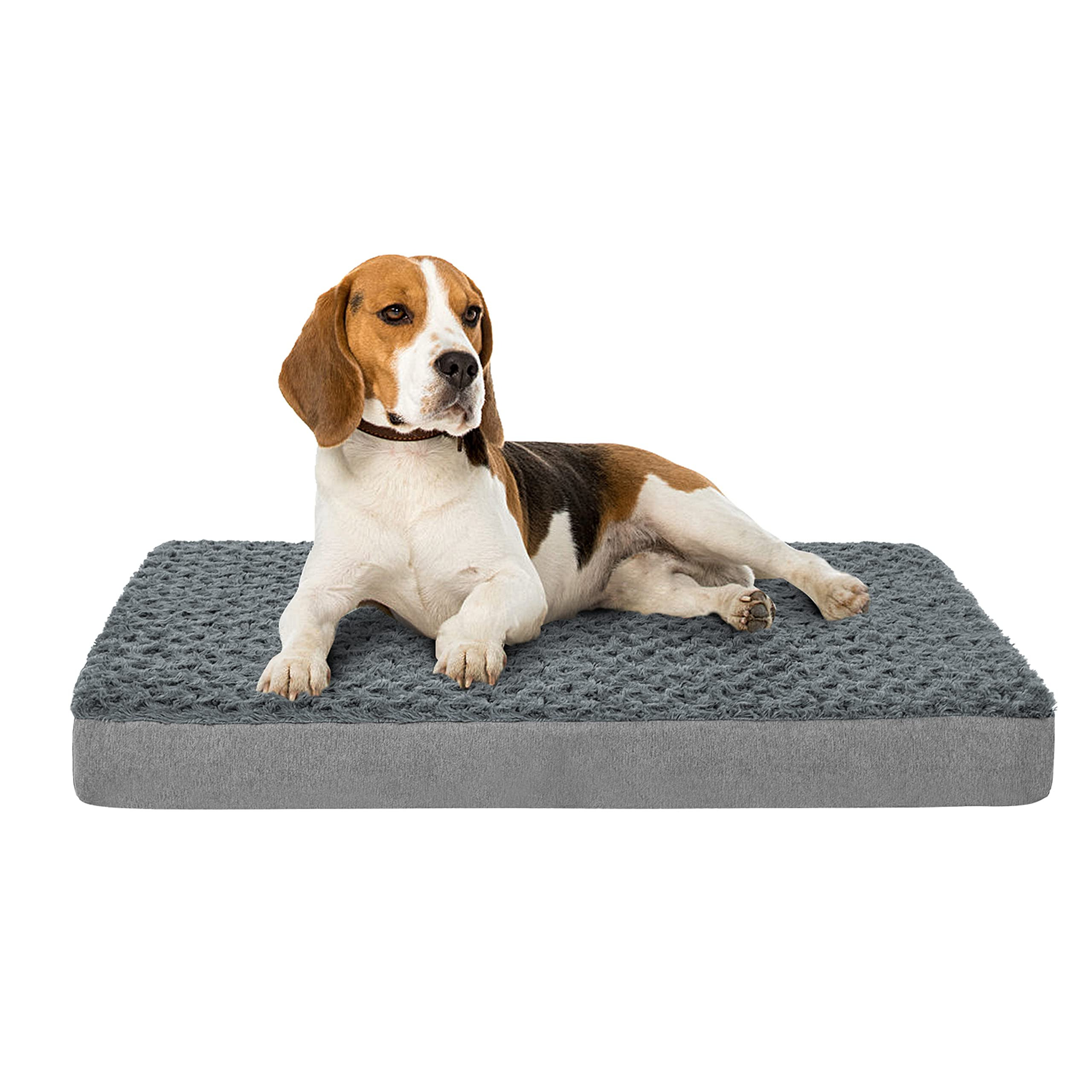 medium memory foam dog bed