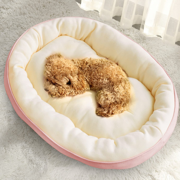 clamshell dog bed