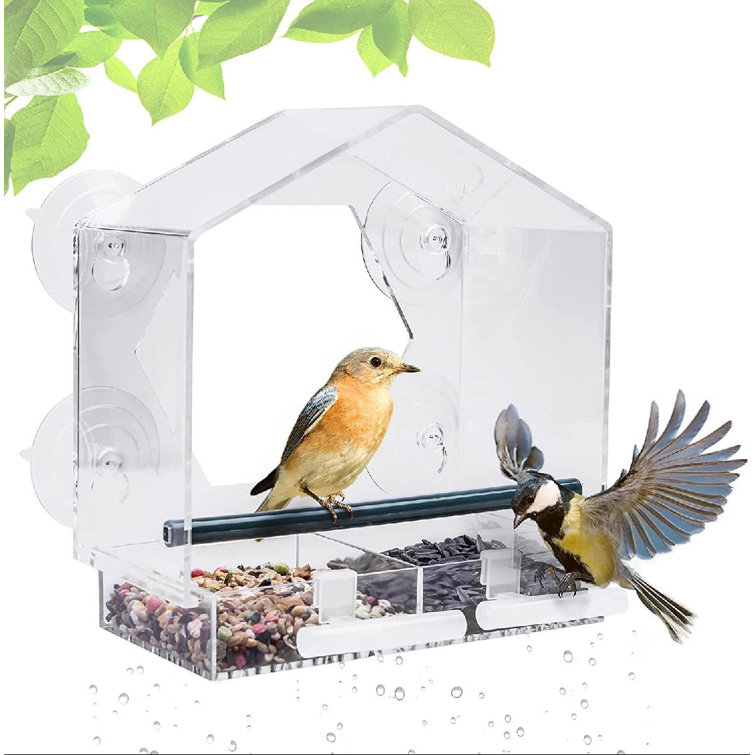 Large Acrylic Window Bird Feeder w/ Seed Tray Suction Cups & Drain Holes Outdoor 