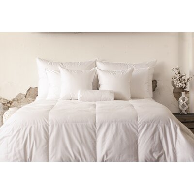 Light Weight Cotton Sateen Down Comforter Alwyn Home Size Grand King