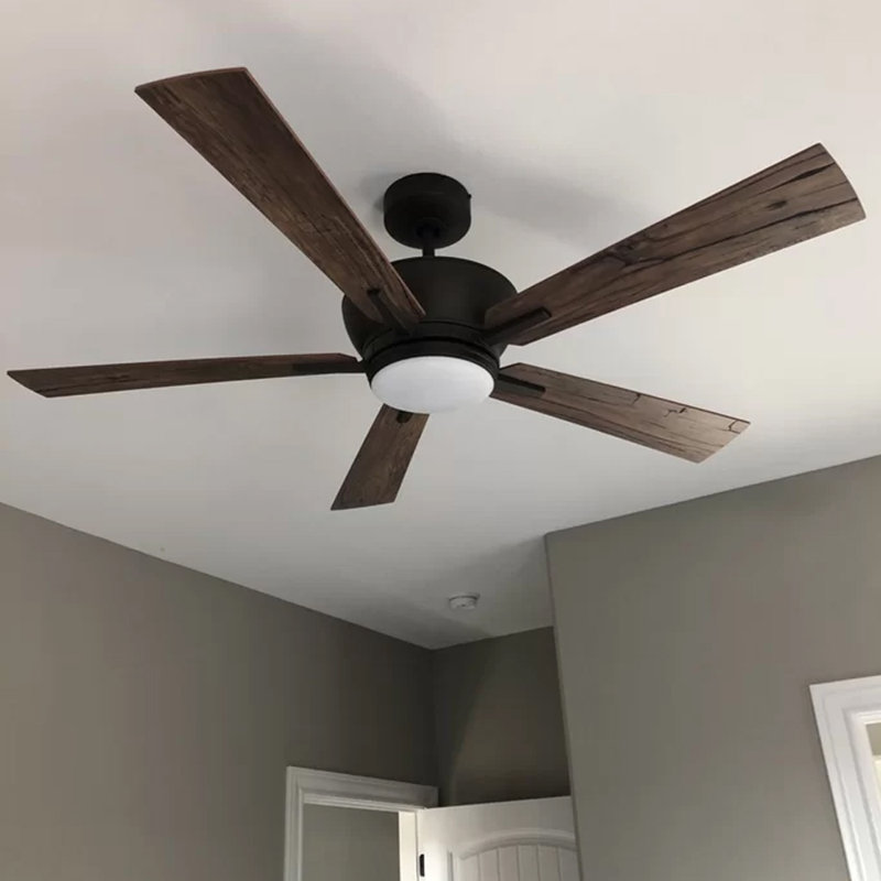 Foundstone 52 Stela 5 Blade Propeller Ceiling Fan With Light Kit Included Reviews Wayfair