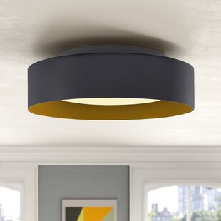 basic flush mount ceiling light