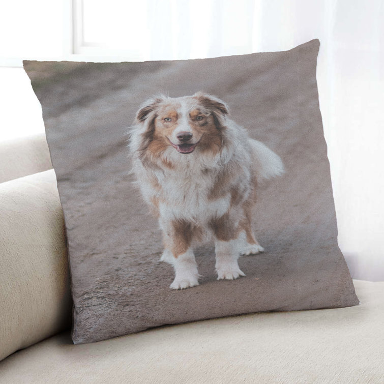australian shepherd stuff