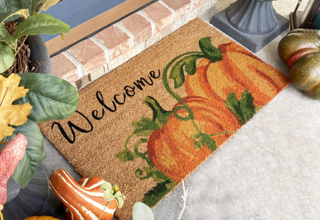 Door Mats Under $25