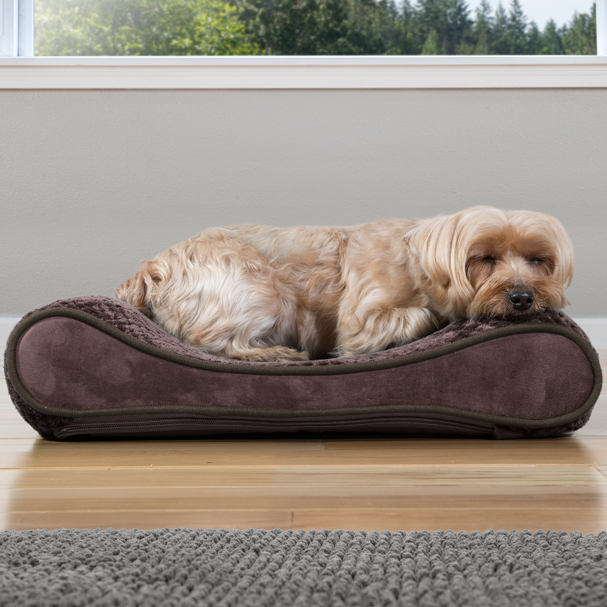 Wayfair Canada Online Home Store for Furniture, Decor, Outdoors