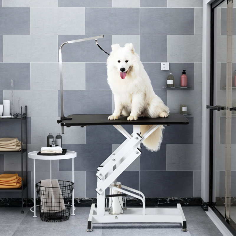 hydraulic dog lift