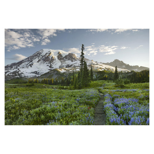 Mountain View Meadow Path 2.55m x 3.84m Textured Matt Peel & Stick Wall Mural East Urban Home