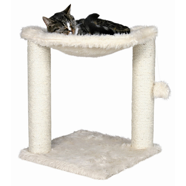 cat tree hammock