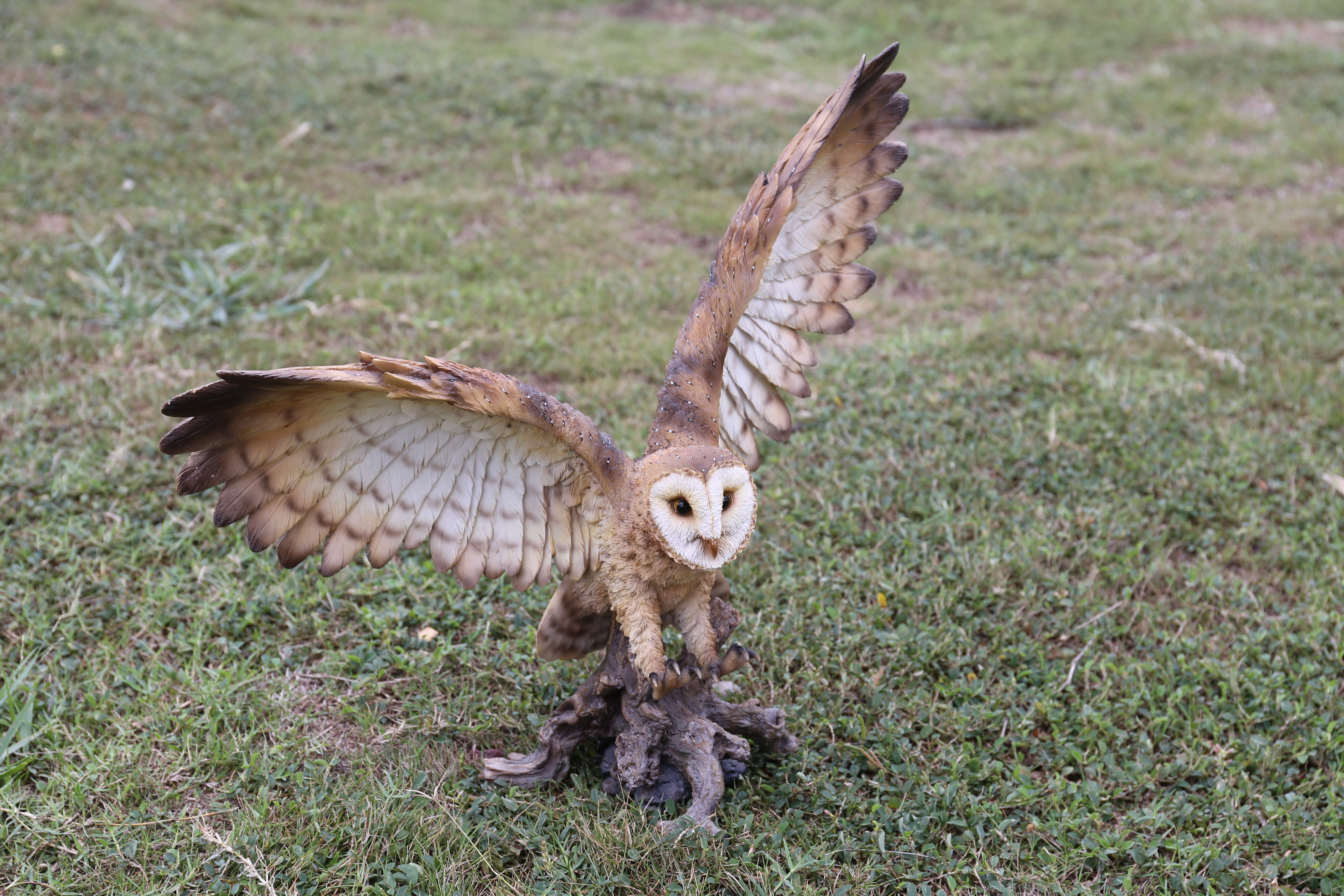 Hi Line Gift Ltd Barn Owl On Stump With Open Wings Statue