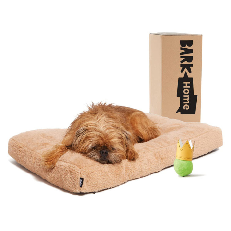 tufted dog bed