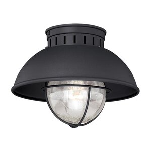 Archibald 1-Light Flush Mount