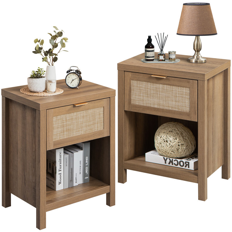 Alayha 1 - Drawer Nightstand Color: Brown